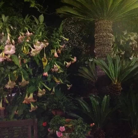 Dimora Benedetta 2 0 Dom wakacyjny *