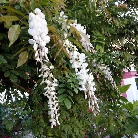 Dimora Benedetta 2 0 *