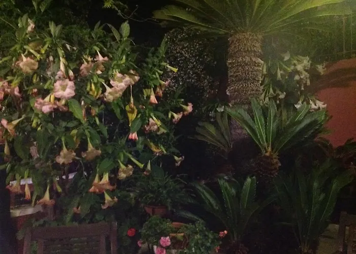 Dimora Benedetta 2 0 Дом отдыха *