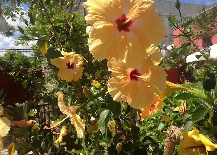 Dimora Benedetta 2 0 * Бари