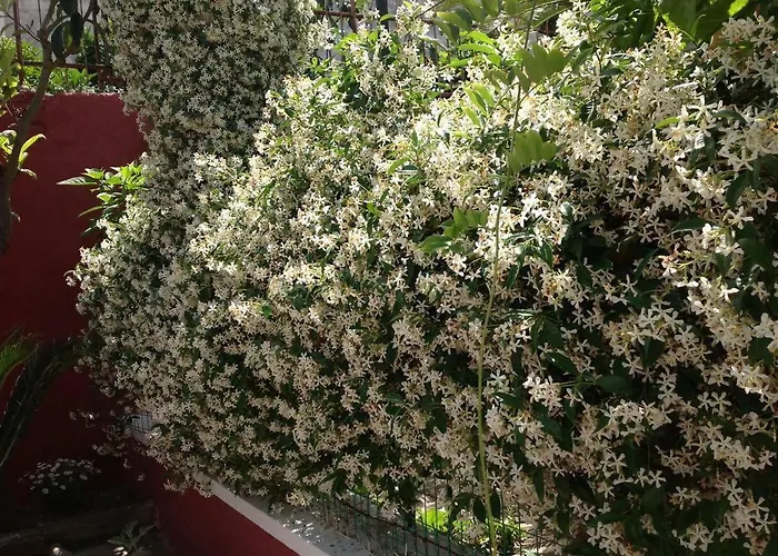 Dimora Benedetta 2 0 Feriehus Bari